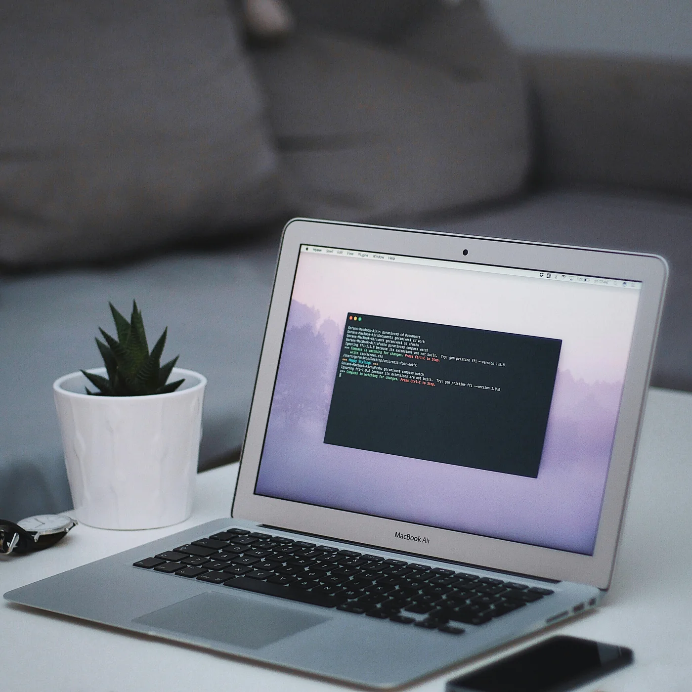 Ordinateur portable et plante sur un bureau